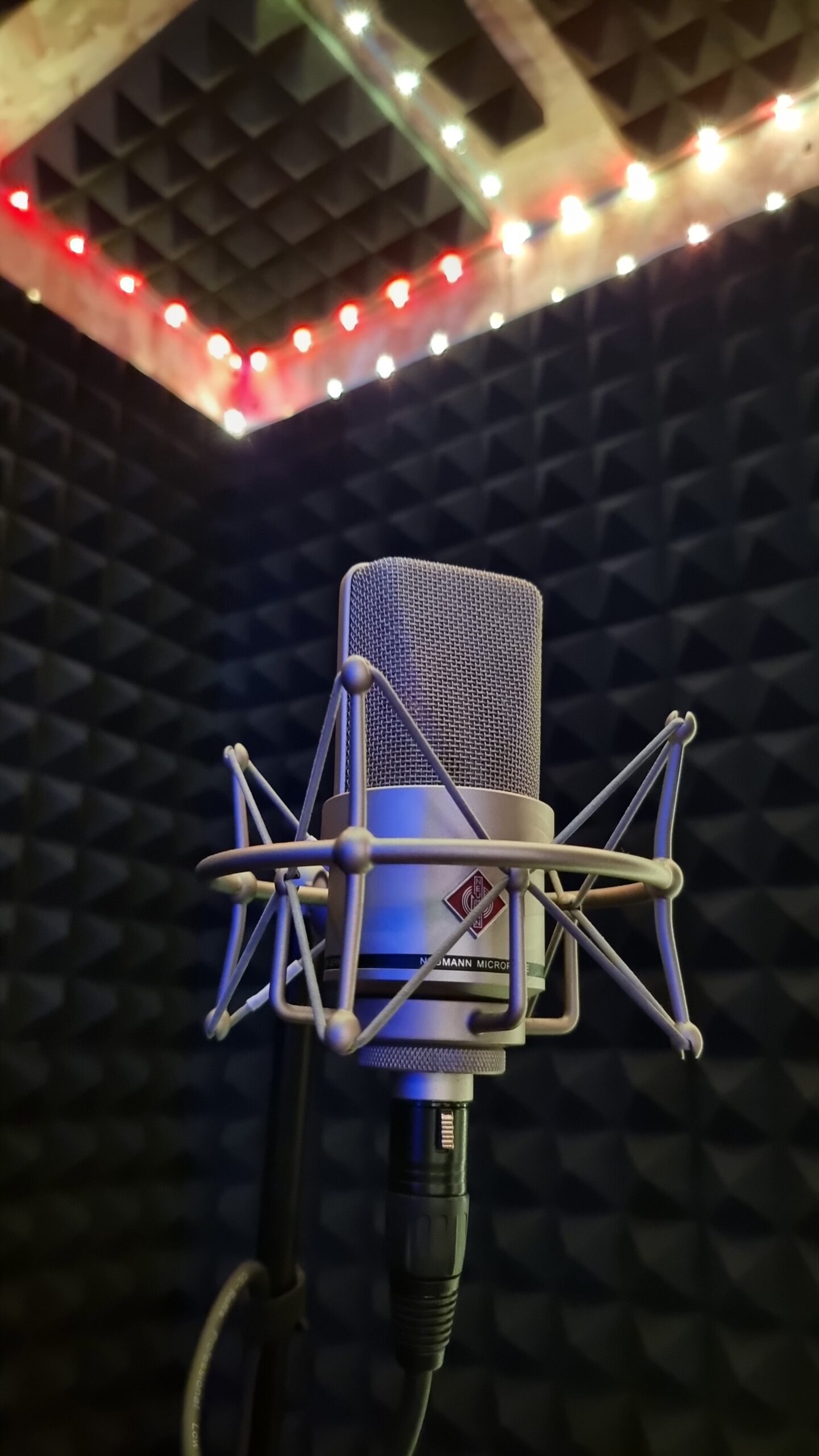 Microphone d’enregistrement sur suspension devant le traitement acoustique du studio
